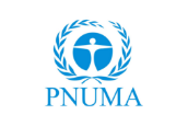pnuma